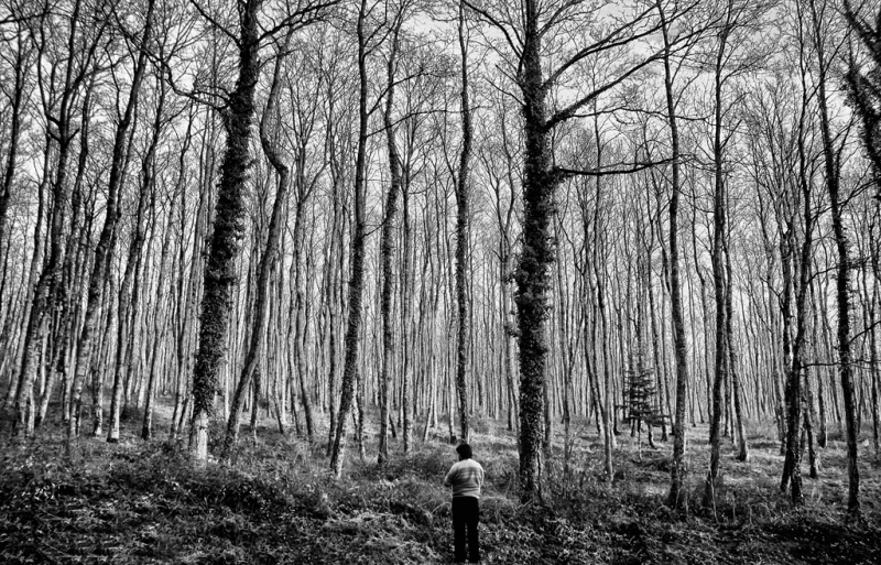 Clicca per l'immagine full size