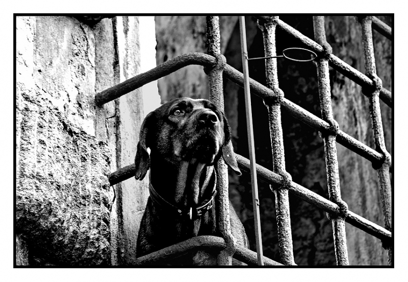 Clicca per l'immagine full size
