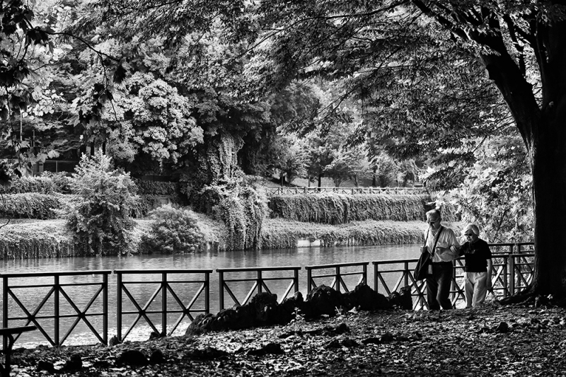 Clicca per l'immagine full size