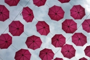 mm-umbrellas.jpg