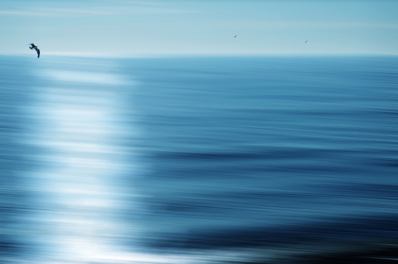 Clicca per l'immagine full size
