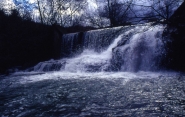 img154_1.jpg