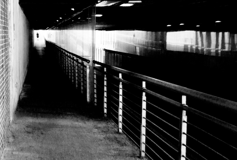 Clicca per l'immagine full size