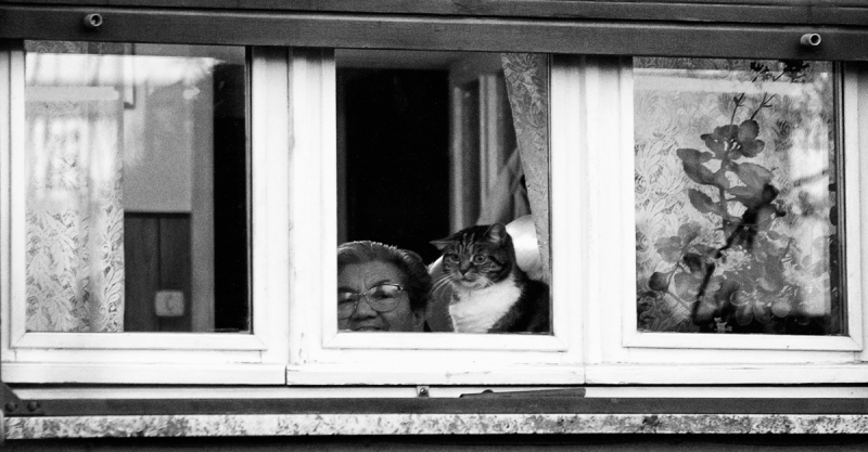 Clicca per l'immagine full size