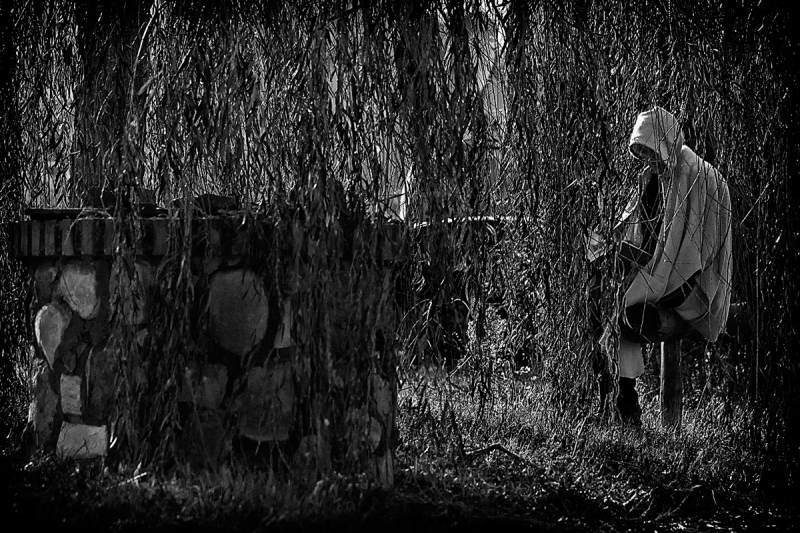 Clicca per l'immagine full size