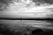 20098939.jpg 20098939.jpg
