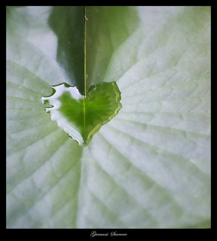 Clicca per l'immagine full size