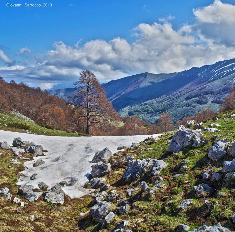 Clicca per l'immagine full size