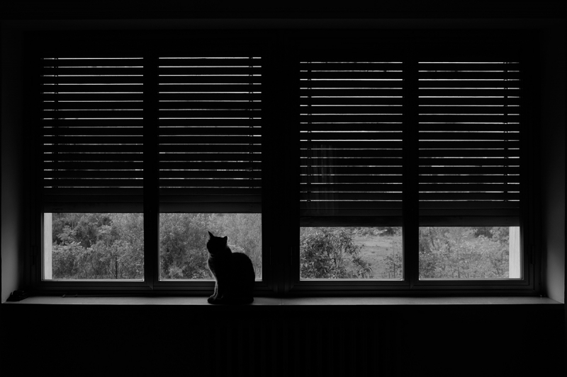 Clicca per l'immagine full size