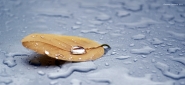 2012_07_24_rain_0.jpg