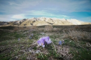 MM_2024_04_07_CAMPO_IMPERATORE_SONY_DSC09457.jpg