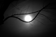 Nome File=mm_eye_in_the_sky_2.jpg
Dimensione File=226KB
Dimensioni=1200x800
Data aggiunta=Gen 08, 2025 mm_eye_in_the_sky_2.jpg