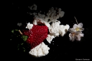 Nome File=mp_2016_03_05_IKEBANA_DSC_7612.jpg
Dimensione File=401KB
Dimensioni=1200x800
Data aggiunta=Mar 05, 2016 mp_2016_03_05_IKEBANA_DSC_7612.jpg