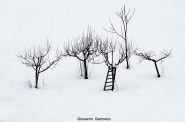 Nome File=mp_2017_01_20_MINIMALISMI_INVERNALI_GSA9457_copia.jpg
Dimensione File=558KB
Dimensioni=1200x797
Data aggiunta=Gen 21, 2017 mp_2017_01_20_MINIMALISMI_INVERNALI_GSA9457_copia.jpg