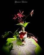 mp_uif_2016_10_22_STILL_LIFE_DSC_0038.jpg