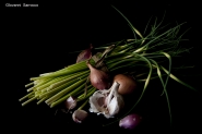 Nome File=wpf_2016_05_14_ZOLLE_DSC_0148.jpg
Dimensione File=399KB
Dimensioni=1200x799
Data aggiunta=Mag 15, 2016 wpf_2016_05_14_ZOLLE_DSC_0148.jpg