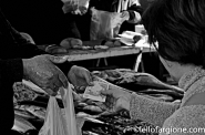 Nome File=acireale-7.jpg
Dimensione File=132KB
Dimensioni=900x598
Data aggiunta=Mar 30, 2011 acireale-7.jpg