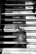 Nome File=Ballata_al_pianoforte.jpg
Dimensione File=113KB
Dimensioni=683x1024
Data aggiunta=Lug 03, 2011 Ballata_al_pianoforte.jpg