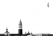 Nome File=micromosso2.jpg
Dimensione File=94KB
Dimensioni=1000x685
Data aggiunta=Mar 24, 2011 micromosso2.jpg