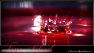 _DSC0243_Corona_Rossa-_True_Blood.jpg _DSC0243_Corona_Rossa-_True_Blood.jpg