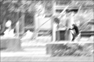 Nome File=1000~1.JPG
Dimensione File=321KB
Dimensioni=1000x667
Data aggiunta=Ott 26, 2011 1000~1.JPG