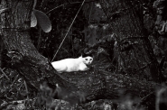 DSC_1172_873-Edit.jpg