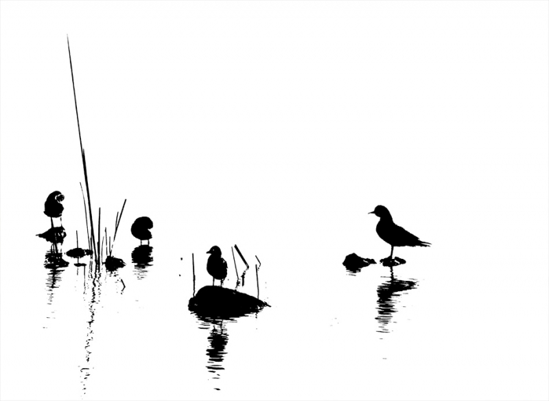 Clicca per l'immagine full size