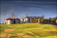 Nome File=SILOS.jpg
Dimensione File=595KB
Dimensioni=1100x738
Data aggiunta=Mag 03, 2012 SILOS.jpg
