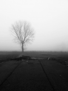 Nome File=nebbia_inpianuracopy_768x1024.jpg
Dimensione File=148KB
Dimensioni=768x1024
Data aggiunta=Ott 29, 2020 nebbia_inpianuracopy_768x1024.jpg