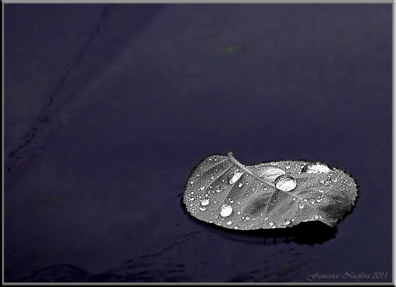Clicca per l'immagine full size