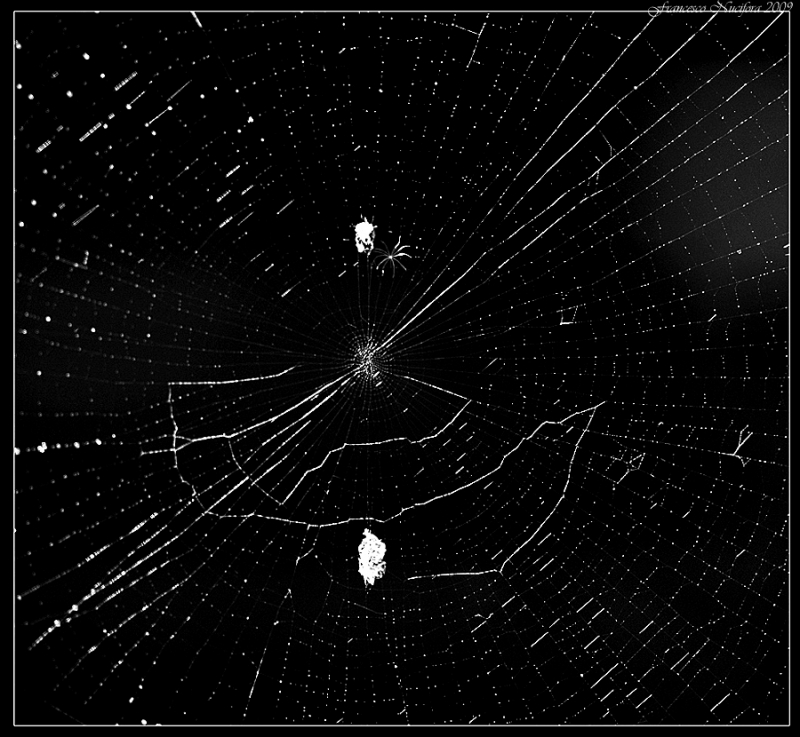 Clicca per l'immagine full size