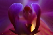 Nome File=Alien.jpg
Dimensione File=252KB
Dimensioni=1200x799
Data aggiunta=Feb 04, 2014 Alien.jpg