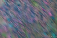 Nome File=Astrattismo.jpg
Dimensione File=218KB
Dimensioni=900x599
Data aggiunta=Gen 05, 2012 Astrattismo.jpg