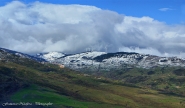 DSC08613.jpg