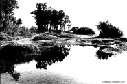 Nome File=Riflessi-naturali_.jpg
Dimensione File=263KB
Dimensioni=900x602
Data aggiunta=Set 11, 2011 Riflessi-naturali_.jpg