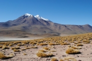 Cile___Argentina_1_(490)_(850_x_569).jpg