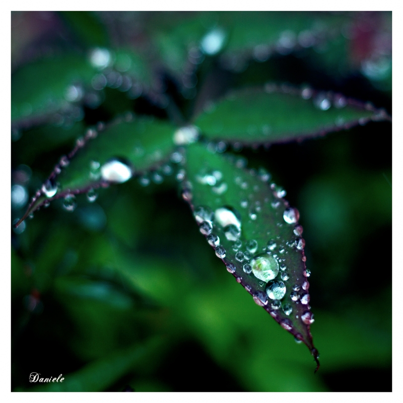 Clicca per l'immagine full size