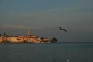 IMG_0001.JPG