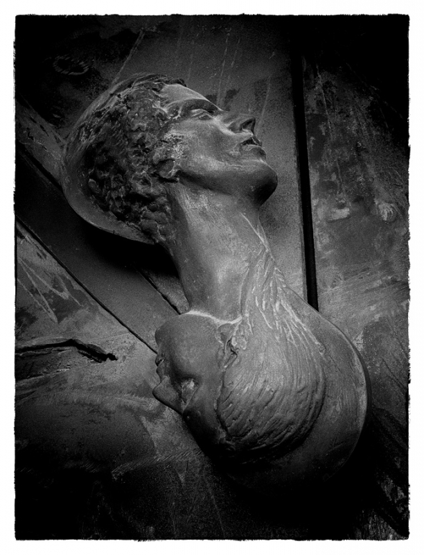 Clicca per l'immagine full size