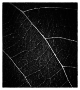 Nome File=Astratto.jpg
Dimensione File=308KB
Dimensioni=806x900
Data aggiunta=Ago 13, 2015 Astratto.jpg
