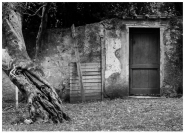 Nome File=Orto_antico.JPG
Dimensione File=232KB
Dimensioni=1024x740
Data aggiunta=Ago 28, 2011 Orto_antico.JPG