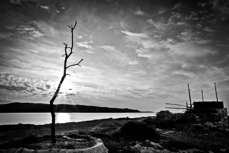 Clicca per l'immagine full size