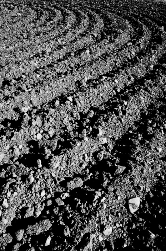 Clicca per l'immagine full size