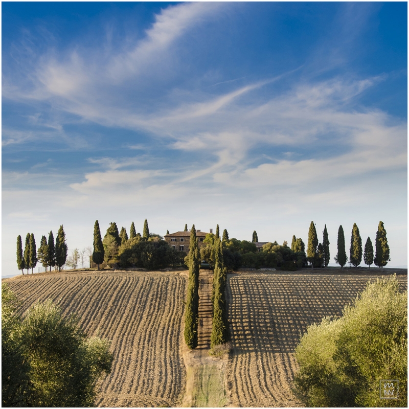 Clicca per l'immagine full size