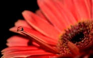 Nome File=20180405_6619-fiore.jpg
Dimensione File=245KB
Dimensioni=1200x759
Data aggiunta=Apr 07, 2018 20180405_6619-fiore.jpg
