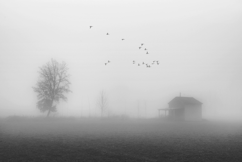 Clicca per l'immagine full size