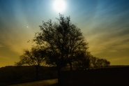 Nome File=Moon_Light+star.jpg
Dimensione File=519KB
Dimensioni=1024x683
Data aggiunta=Gen 31, 2012 Moon_Light+star.jpg