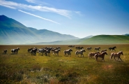 CASTELLUCCIO_097.jpg