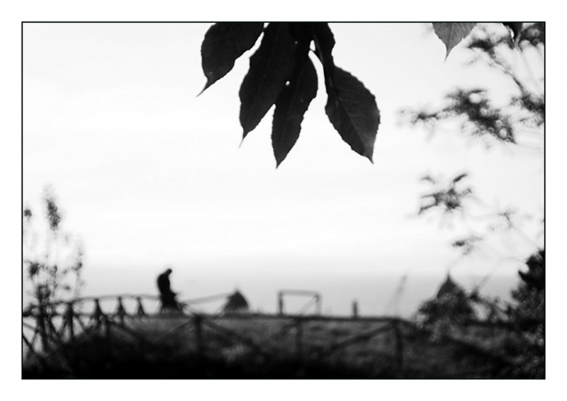 Clicca per l'immagine full size