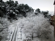 Nome File=bianco_nero_non_voluto.jpg
Dimensione File=491KB
Dimensioni=1024x768
Data aggiunta=Feb 23, 2012 bianco_nero_non_voluto.jpg